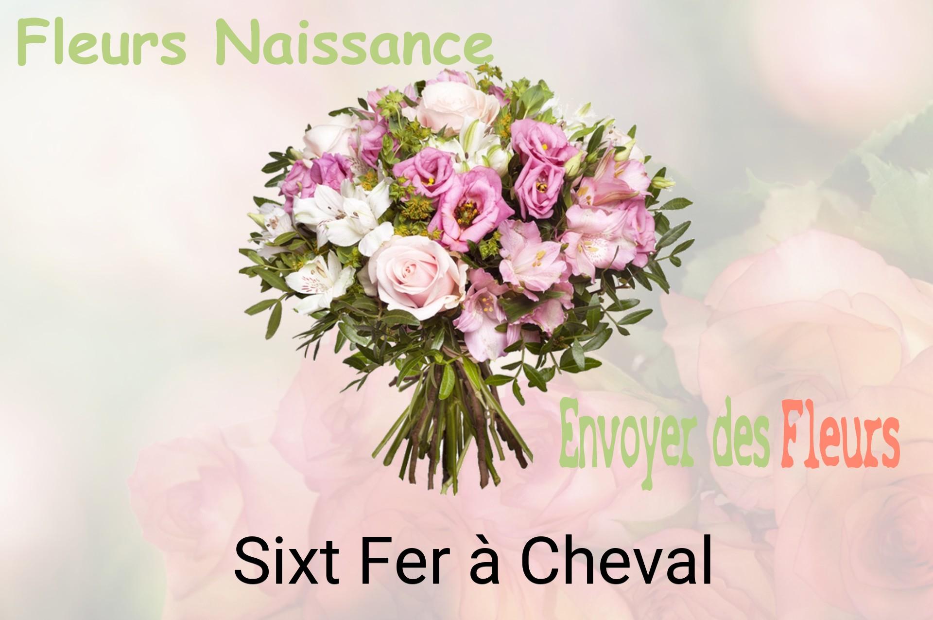 Bouquet de fleurs de naissance livré à Sixt-Fer-à-Cheval